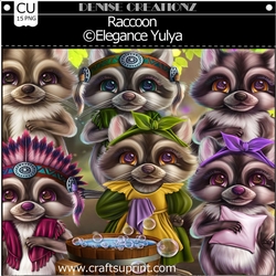 Raccoon