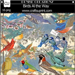 Birds All The Way