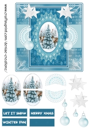 DC Card 13