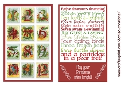 DC Card 15