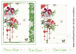 DC Topper and Sentiments 04