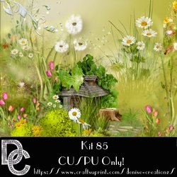 DC Kit 85