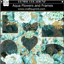 Aqua Flowers and Frames