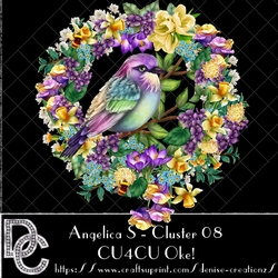 DC AS Cluster 08