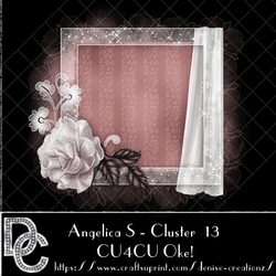 DC AS Cluster 13