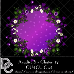 DC AS Cluster 17