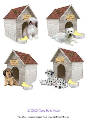 Dogs in Kennels