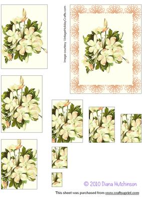 Vintage Christmas Roses