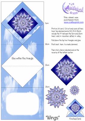 Wings Mandala Diamond Top
