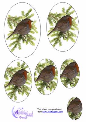 Robin in Fir Tree Pyramage