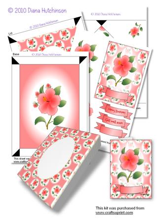 Hibiscus A5 Box and Card