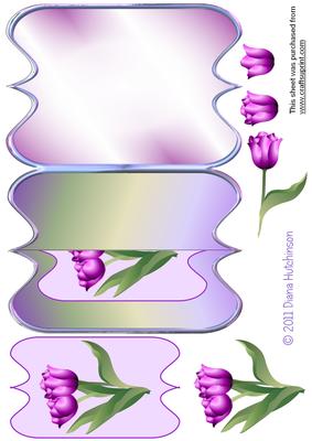 Purple Tulips