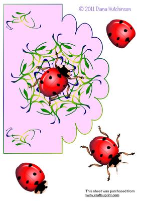 A5 Ladybird Card Front