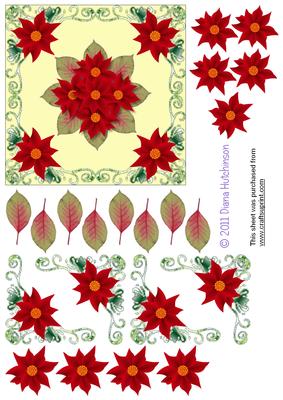 3D Poinsettia Square