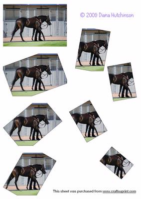 Race Horse Spyramage
