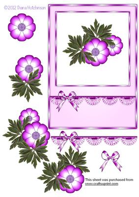 Anemone Card Front