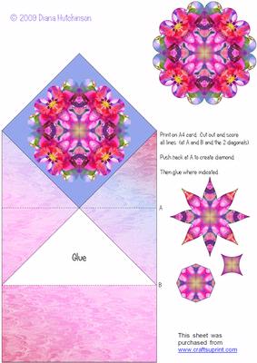 Bright Pink Poinsettia