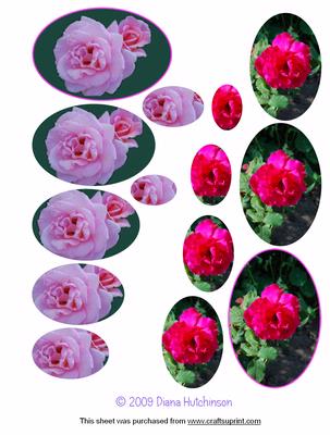 Pink and Red Rose Ovals