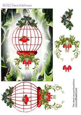 Birdcage 5in x 7in Card Front