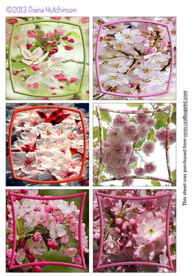 Apple Blossom Toppers