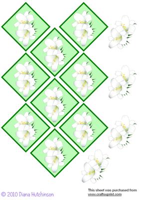 Diamond Lilies
