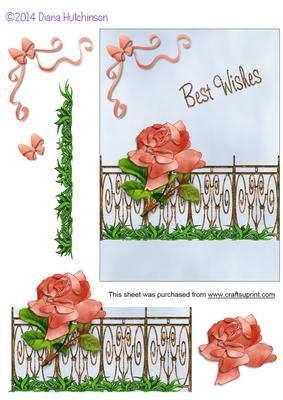 Iron Fence with Peach Rose