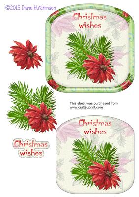 Poinsettia