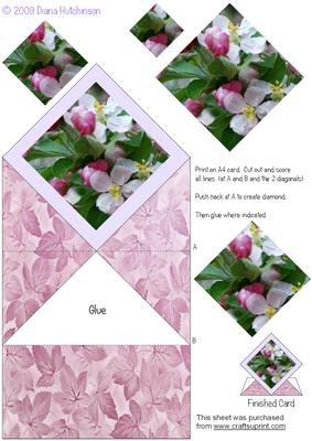 Crab Apple Pyramage