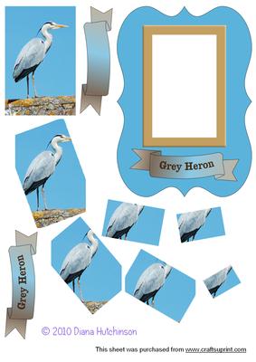 Grey Heron Spyramage