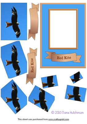 Red Kite Spyramage