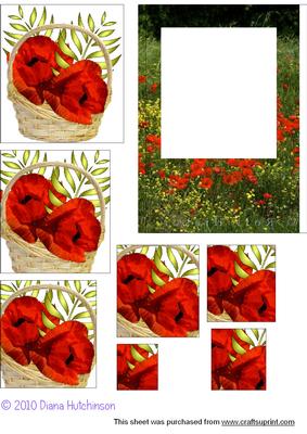Poppy Basket