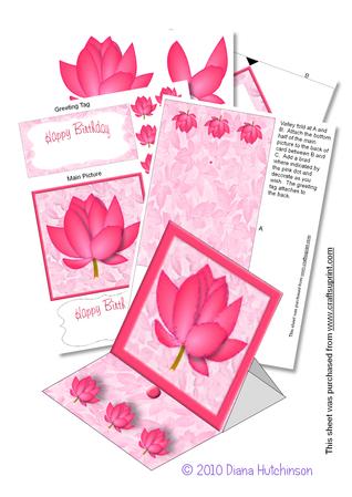 Lotus Blossom