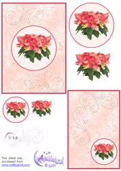 Poinsettia Card Front