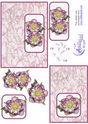 Mauve Helebore Card Front