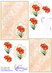 Amaryllis Card Front