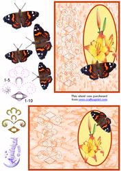 Lily and Red Admiral Butterfly
