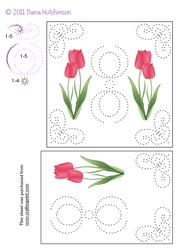 Tulips Card Front