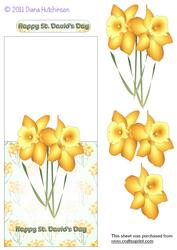 St. David's Daffodils