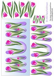 Tulips Dl Card Front