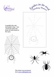 Spider and Its Web