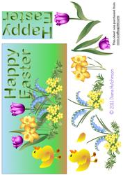 Duckling Dl Card Front
