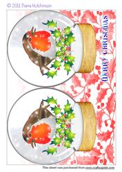 Robin Snowglobe