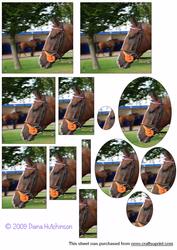 Race Horse Pyramage