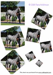Grey Horse Pyramage