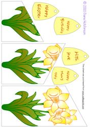 Daffodil Cascade