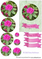 Rhododendron Round