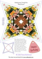 Mixed Roses Box