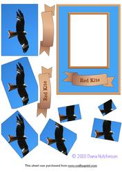 Red Kite Spyramage