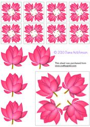 Lotus Flower