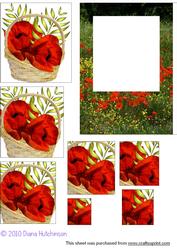 Poppy Basket